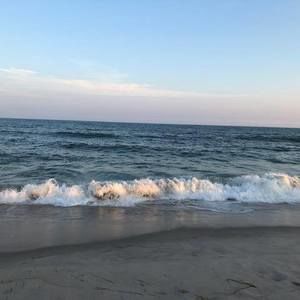 Meet your Posher, Judy